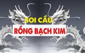 Giới thiệu thông tin về soi cầu rồng